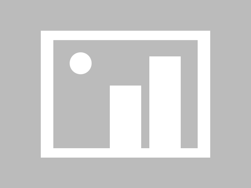 # 揭秘全网刷粉平台：现状、动态与未来趋势