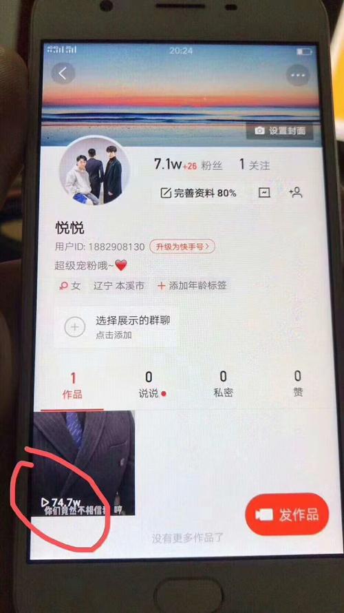 真实案例解析：快手刷粉平台的效果验证